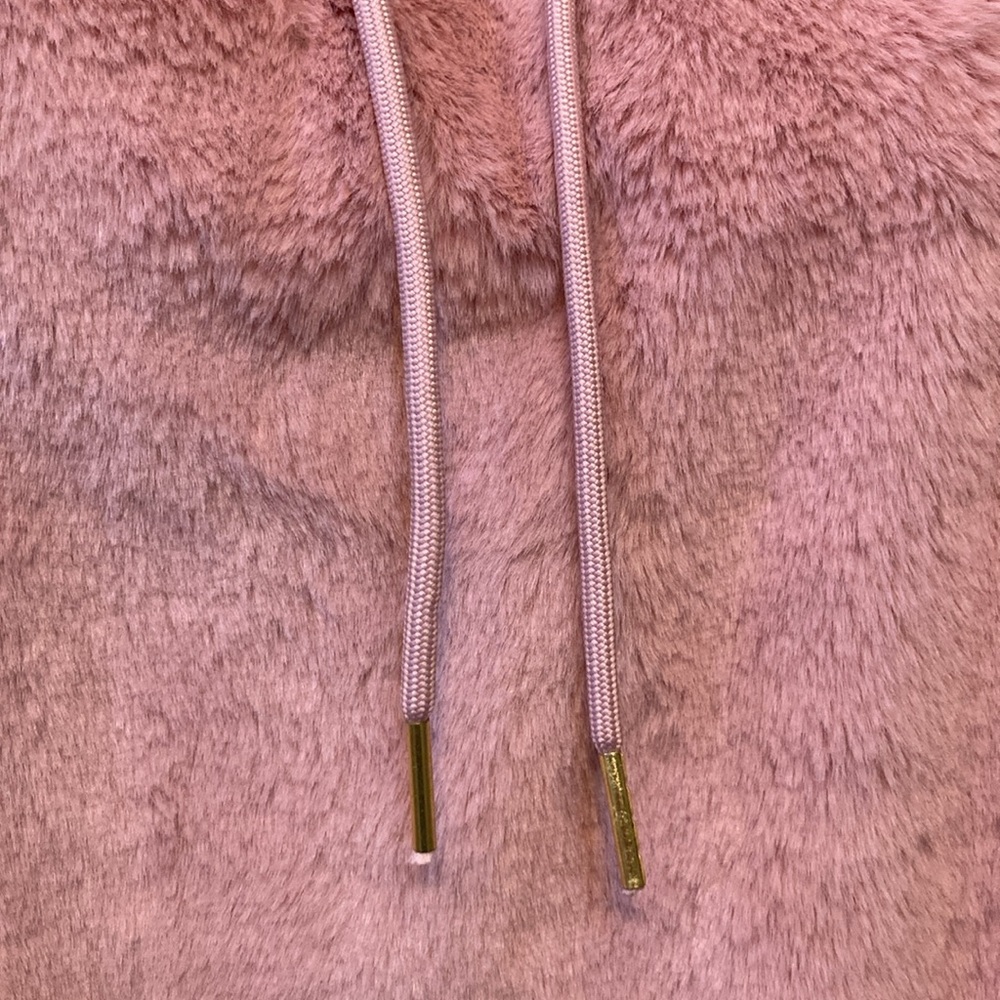 NWTđź’™ Express Super Soft Fuzzy Hoodie - Picture 8 of 14